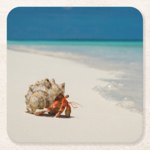 Strawberry Hermit Crab Coenobita Perlatus Square Paper Coaster