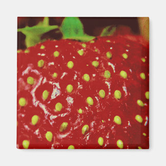 Strawberry Macrography Magnet