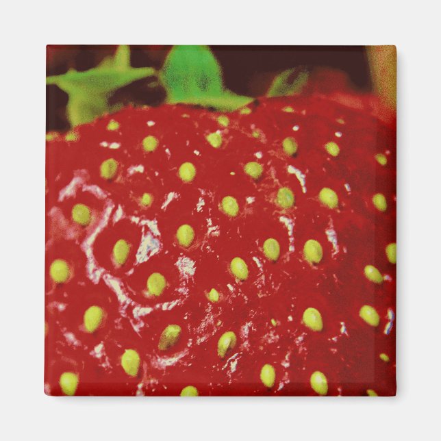 Strawberry Macrography Magnet (Front)