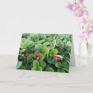 Strawberry Patch Card