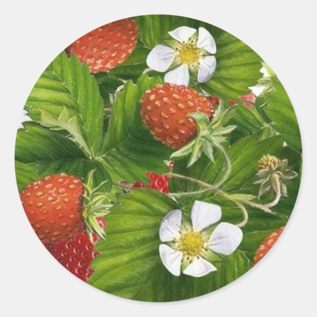 Strawberry Patch Classic Round Sticker (Front)