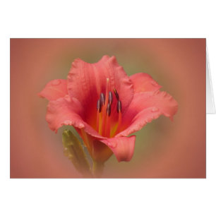 Strawberry Petals