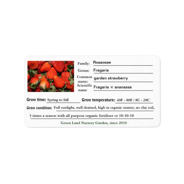 Strawberry plant garden or nursery labels. label (Front)