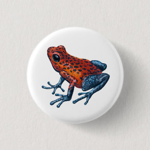 Strawberry Poison dart frog 1 Inch Round Button