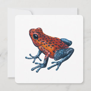 Strawberry Poison dart frog Holiday Card