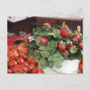 Strawberry Postcard
