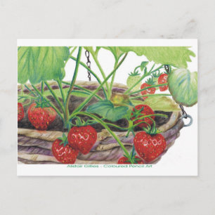 Strawberry Postcard