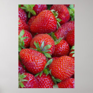 Strawberry Poster
