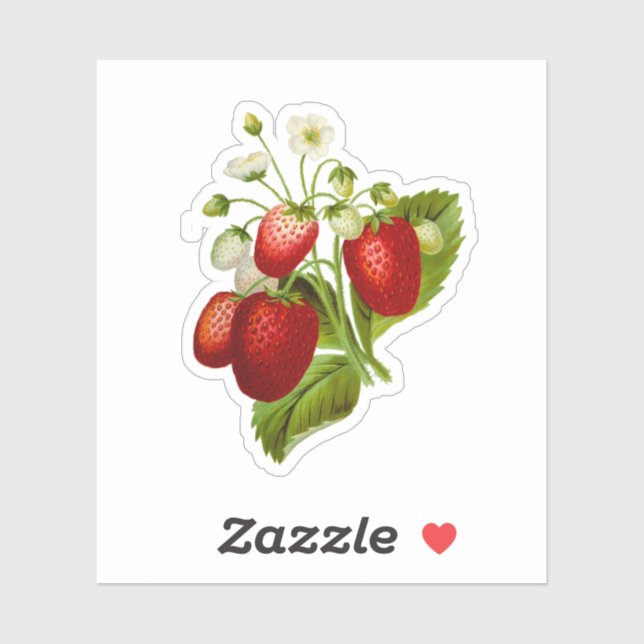 Strawberry Vinyl Stickers Seals Strawberries (Sheet)