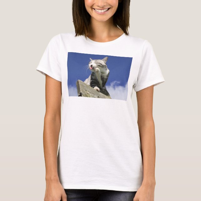 Stray cat Nyankichi [Blue sky is dazzling! ] T-Shirt (Front)