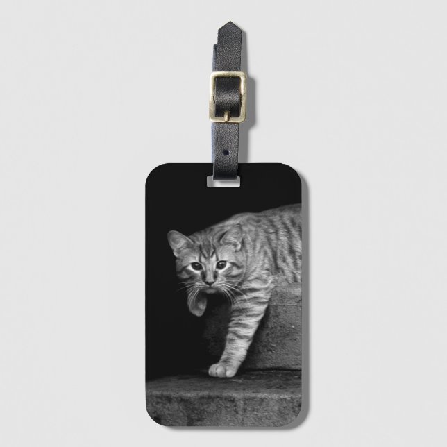 Stray Cat on Stairs Luggage Tag (Front Vertical)
