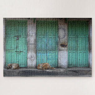 Stray dogs in front of dirty green doors jigsaw puzzle