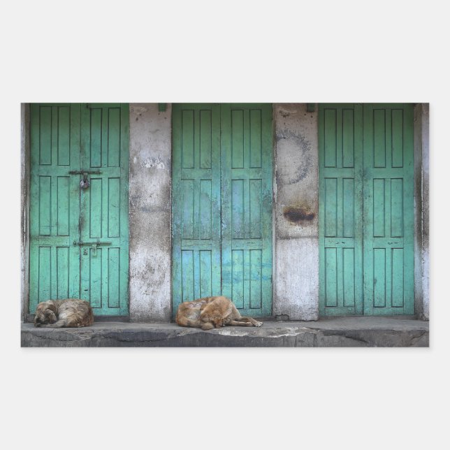 Stray dogs in front of doors rectangle sticker (Front)