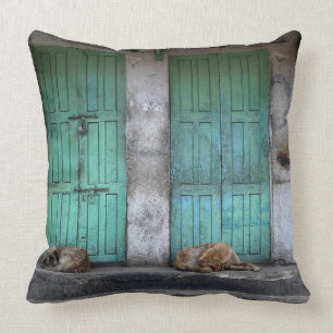 Stray dogs in front of green doors throw pillow