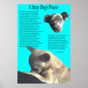 Stray Dog's Prayer Poster
