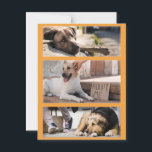 Stray Dogs Waiting for Adoption Postcrossing Postcard<br><div class="desc">Stray Dogs around the World are Waiting for you to Adopt Them Postcrossing Postcard</div>