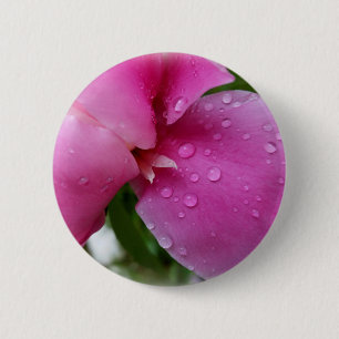 stray petal in the rain 2 inch round button
