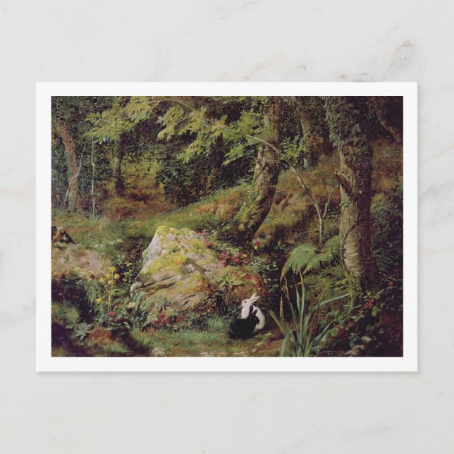 Stray rabbits postcard (Front)