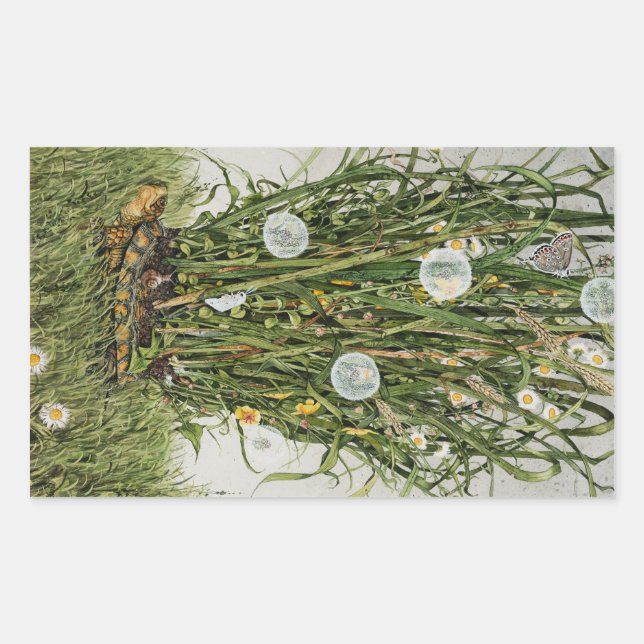 Stray Sod Sticker (Front)