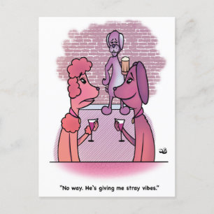 Stray Vibes Postcard