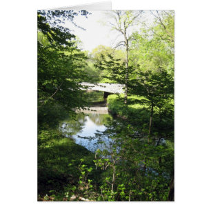 Stream and Green