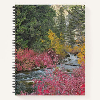Stream Blooms Spiral Notebook