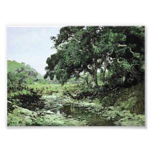 Stream by William Keith (Modified) Photo Print