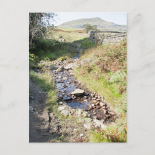 Stream Coniston Cumbrai England Card