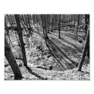 Stream in Highbanks Metropark, Columbus, Ohio Photo Print