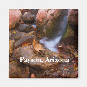 Stream in Payson,Arizona Magnet
