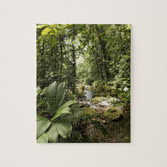 stream in rainforest, Dominica Jigsaw Puzzle (Vertical)