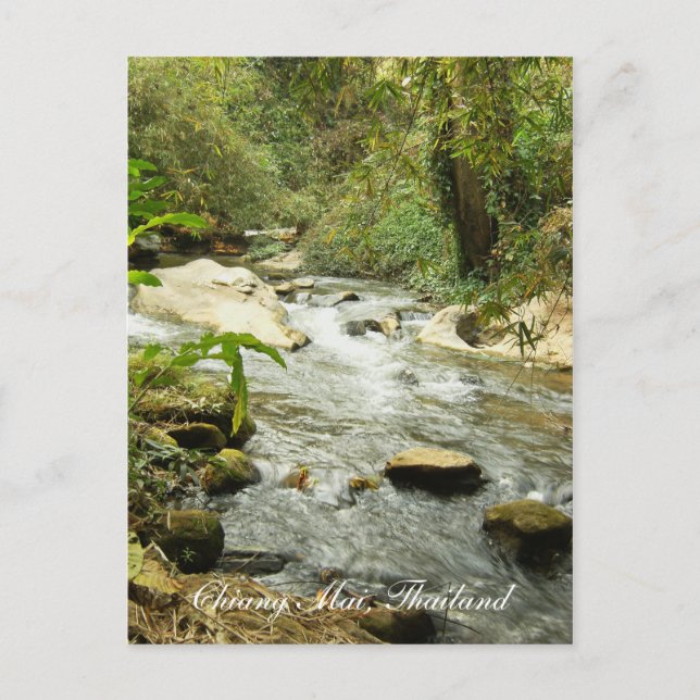 Stream In The Hills Postcard (Front)