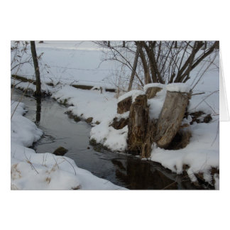 Stream in Winter