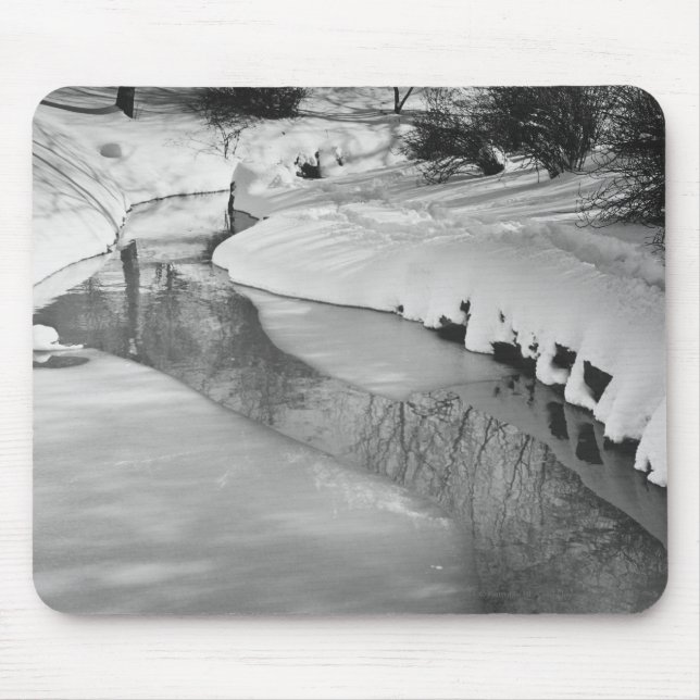 Stream in winter B&W Mouse Pad (Front)