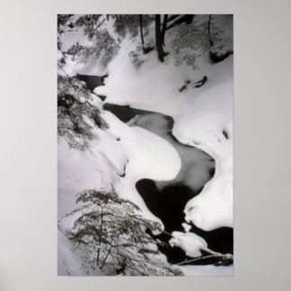Stream in Winter Poster