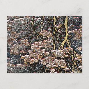 STREAM WATER REFLECTIONS POSTCARD