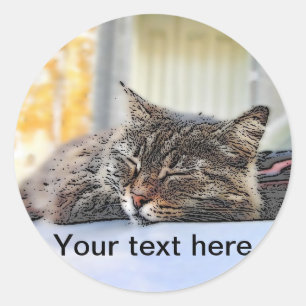 Street cat sleeping on the car classic round sticker