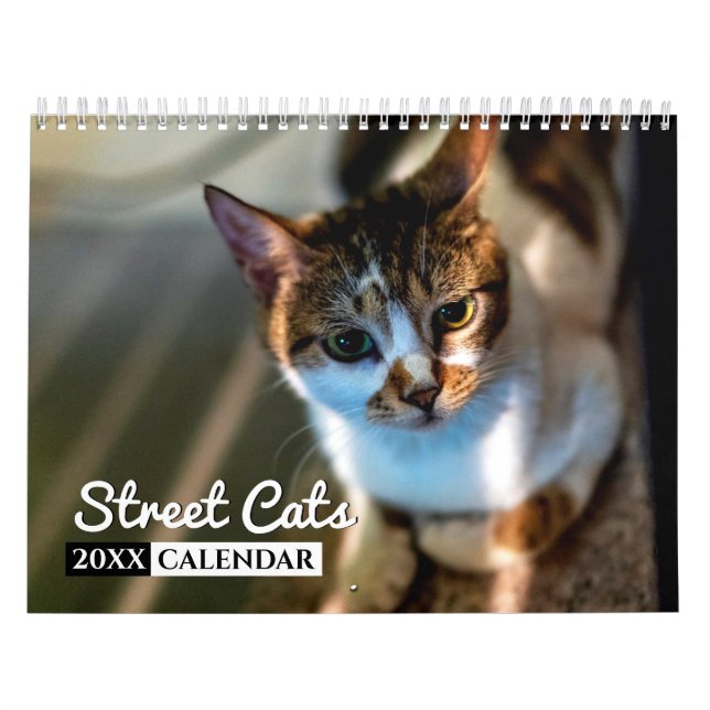 Street Cats Photo Wall Calendar (Cover)