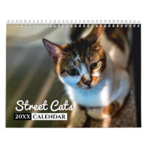 Street Cats Photo Wall Calendrier