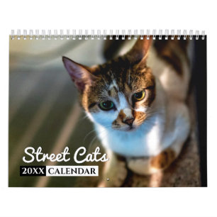 Street Cats Photo Wall Calendrier