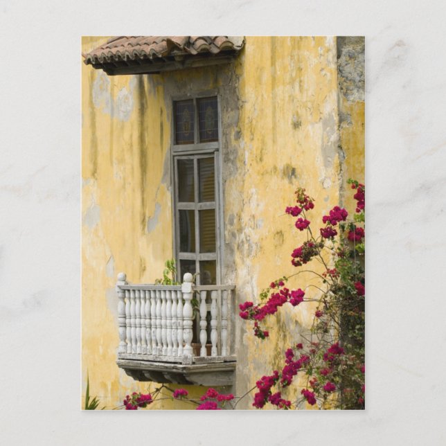 Street in Cartagena Postcard (Front)