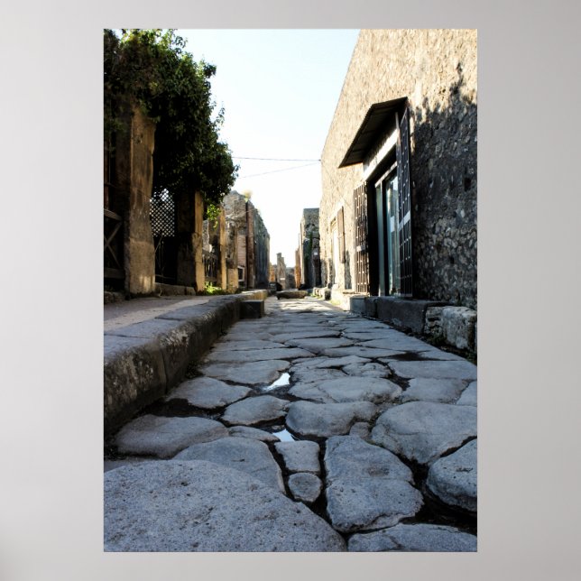 Streets of Pompeii Poster (Front)