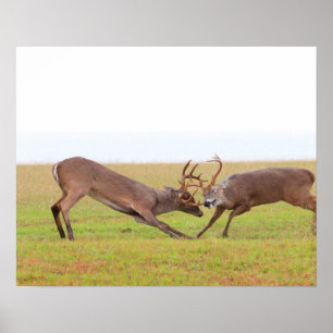 Strength and Grace: The Antler Tango Poster