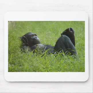 Stress Relief Mouse Pad