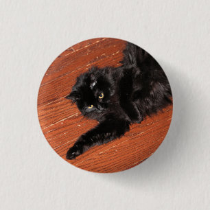 Stretch 1 inch round button
