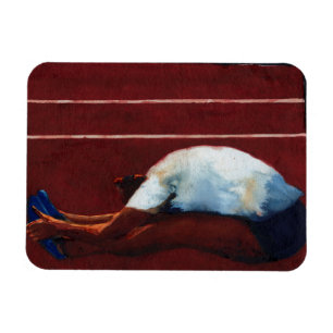 Stretch 2011 magnet