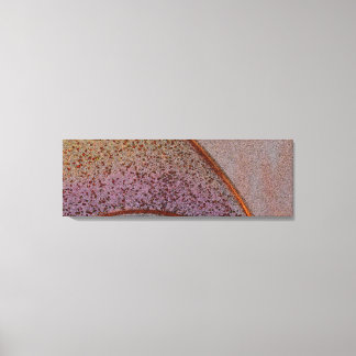 Stretch Canvas Print