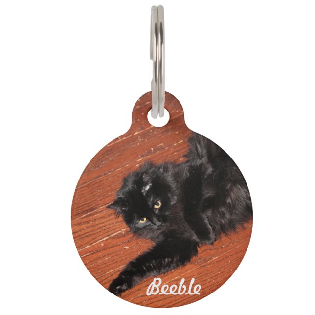 Stretch Pet Tag (Front)