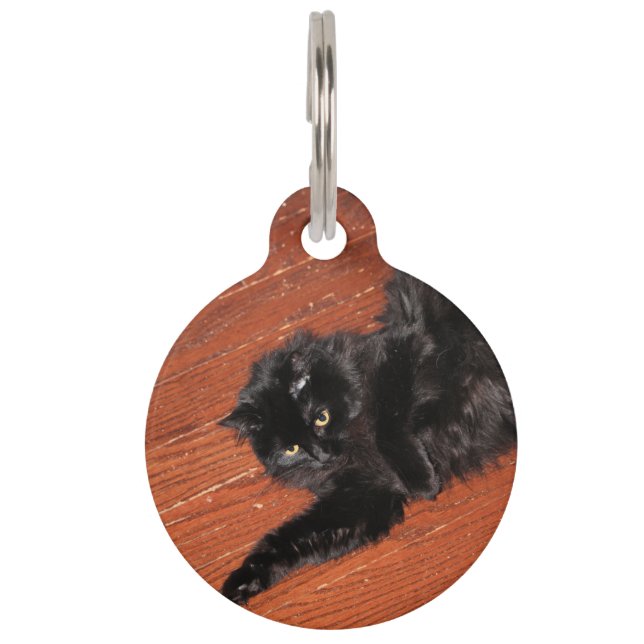 Stretch Pet Tag (Front)