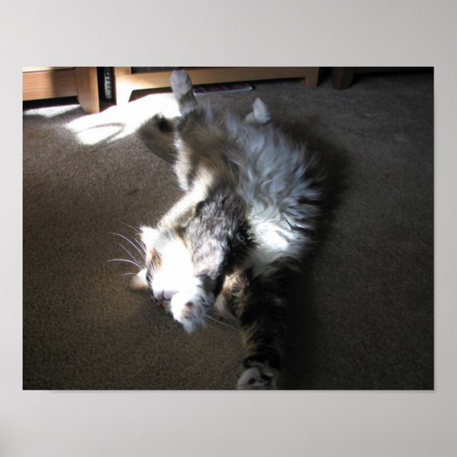 Stretch.. Poster (Front)